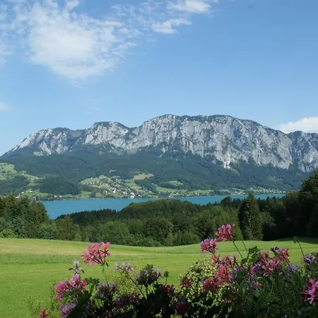 Biobauernhof Nussbaumer