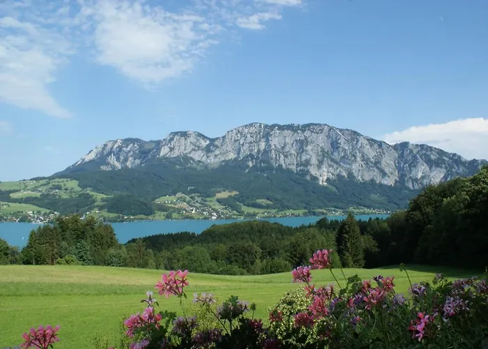 Biobauernhof Nussbaumer